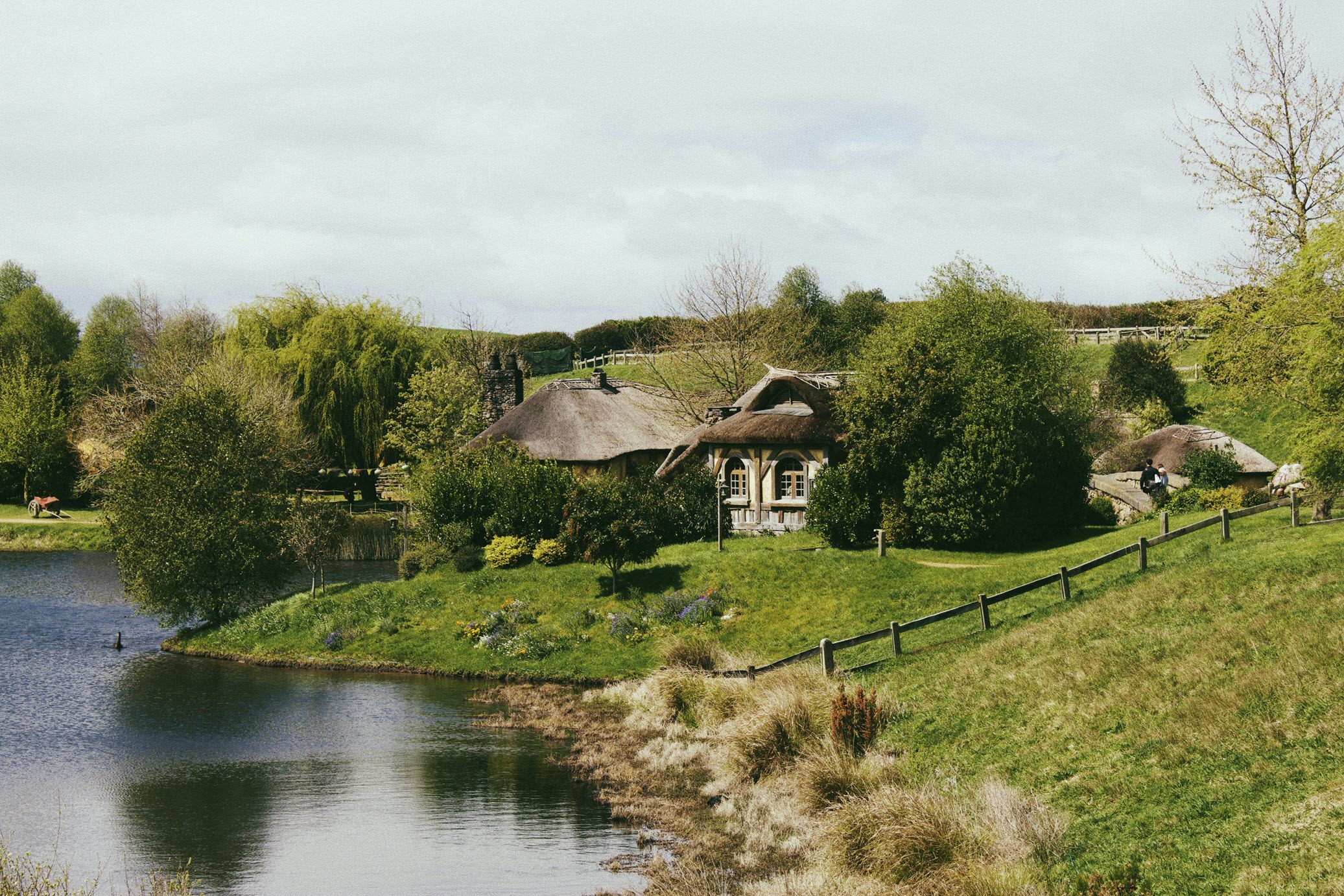 Hobbiton Tour Views