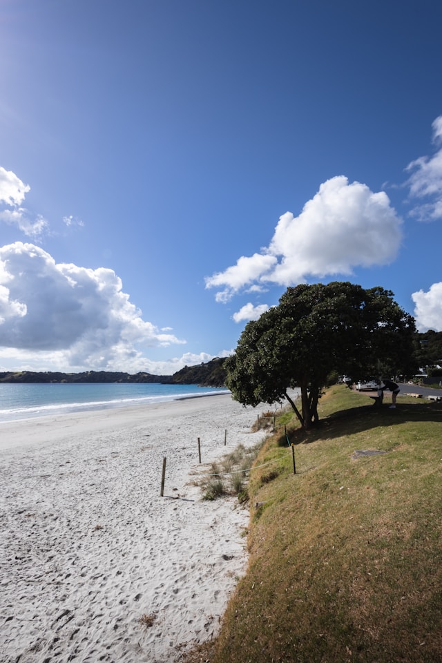 Waiheke Island Beaches