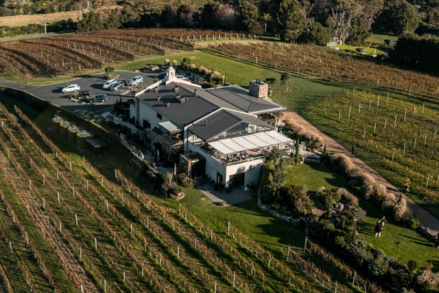 Visit top NZ wineries on Waiheke Island